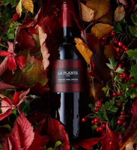 Arzuaga, La Planta, Ribera del Duero (Magnum)